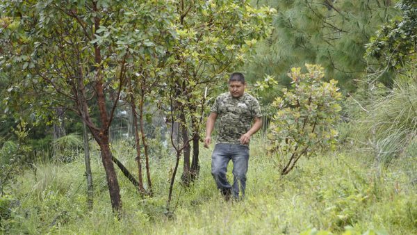 Ejido Quiroga se suma a áreas de conservación estatales