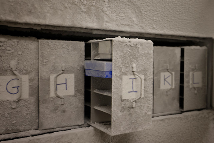 El bunker de microbios esenciales cada vez más listo; los identifican y los congelan antes de que desaparezcan