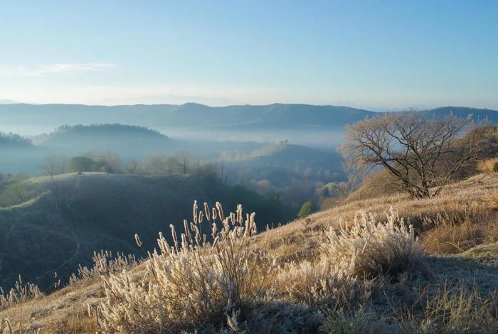 El frente frío 12 trae bajas temperaturas y lluvias