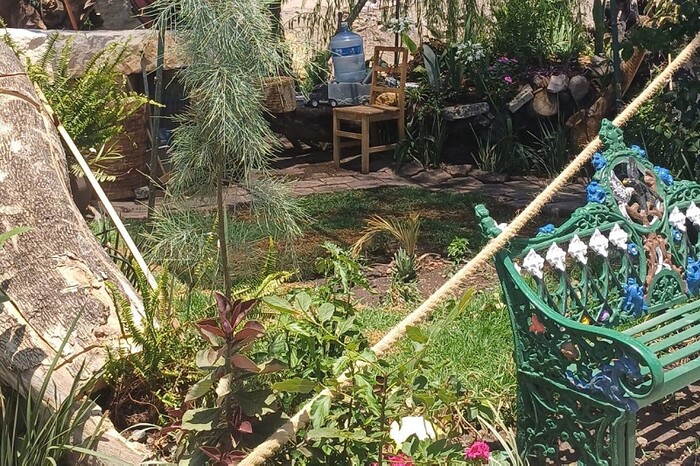 El Gobierno de Morelia fortalece los espacios verdes de la ciudad