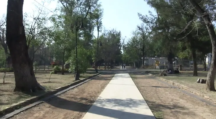 El pulmón de Morelia, al borde del colapso