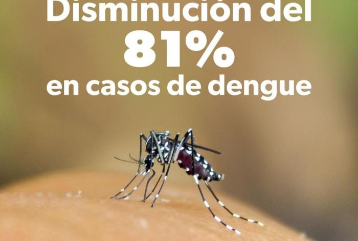 En 2025, Michoacán registró 81 % menos casos de dengue: SSM
