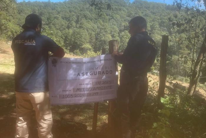 En cateo realizado en Madero, asegura FGE predio por delitos contra el ambiente