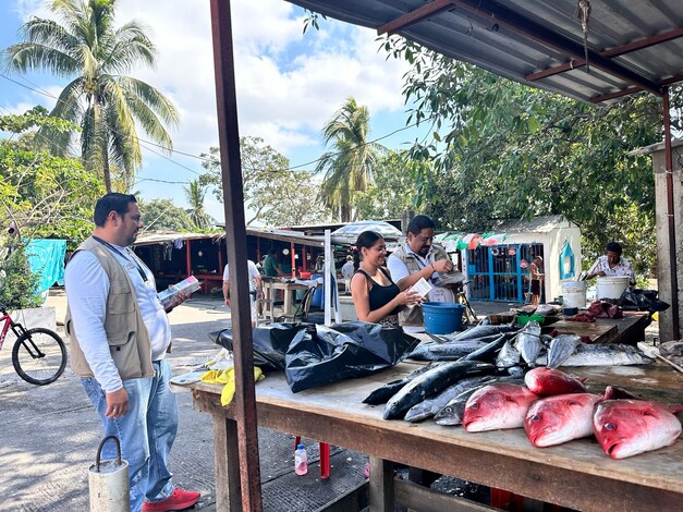  En Cuaresma, evita riesgos al consumir pescados y mariscos: SSM