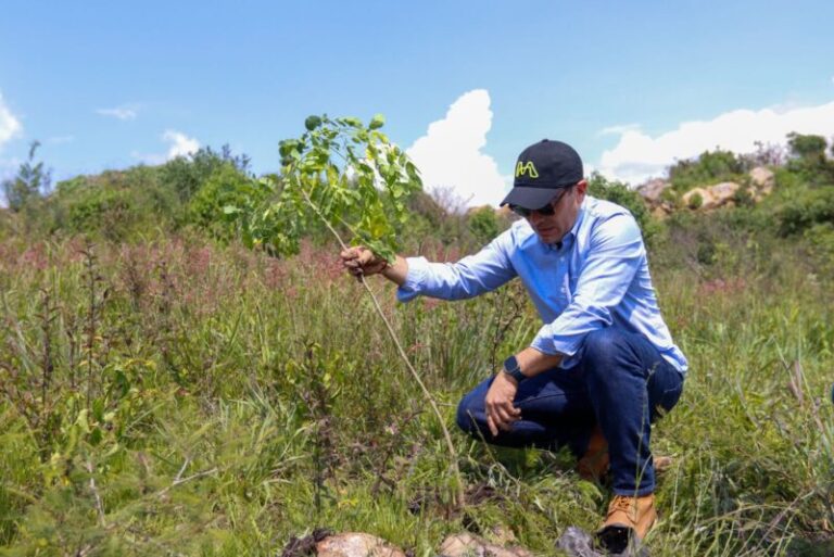 En Michoacán se protege la flora y fauna en la obra pública: Rogelio Zarazúa