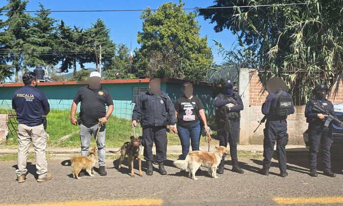 En Senguio, rescatan a tres lomitos en condiciones de maltrato