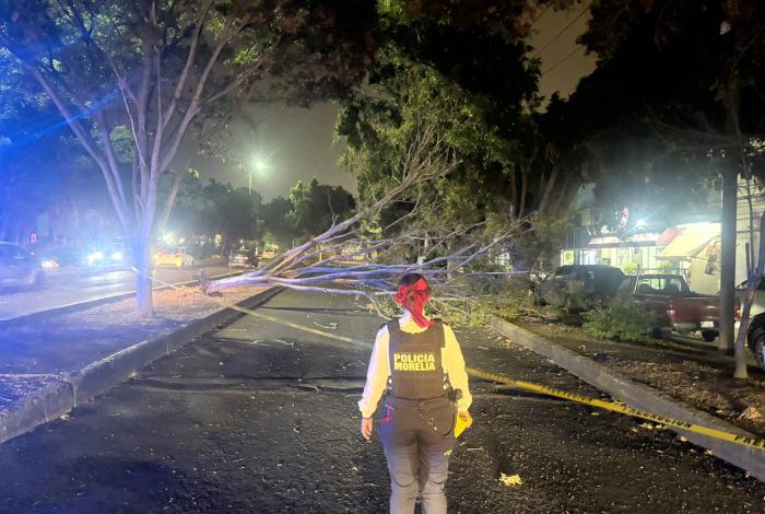 En sólo una hora llovió el equivalente a 5 días de lluvia normal, en Morelia