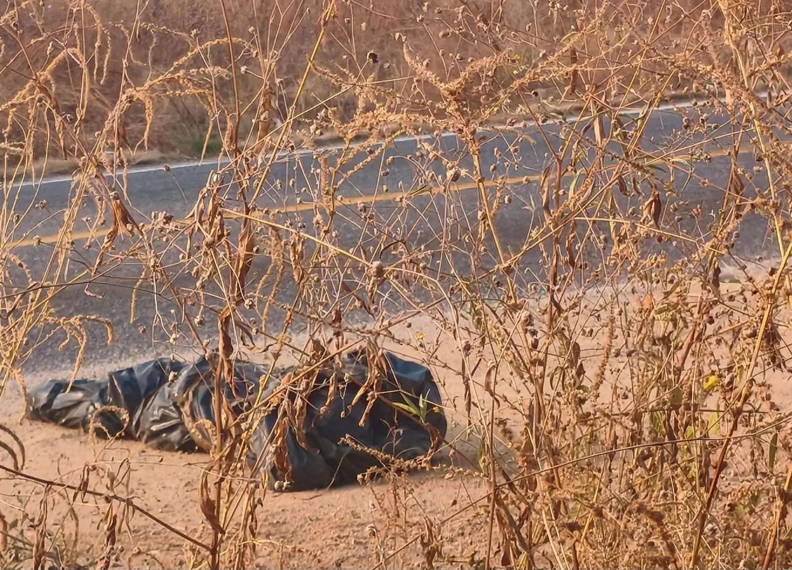 Encuentran cadáver envuelto en plástico en Buenavista, Michoacán