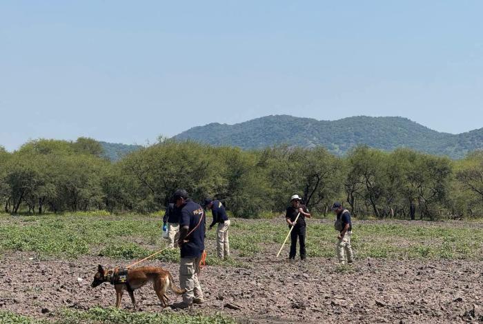 Encuentran restos humanos en jornada de búsqueda de desaparecidos