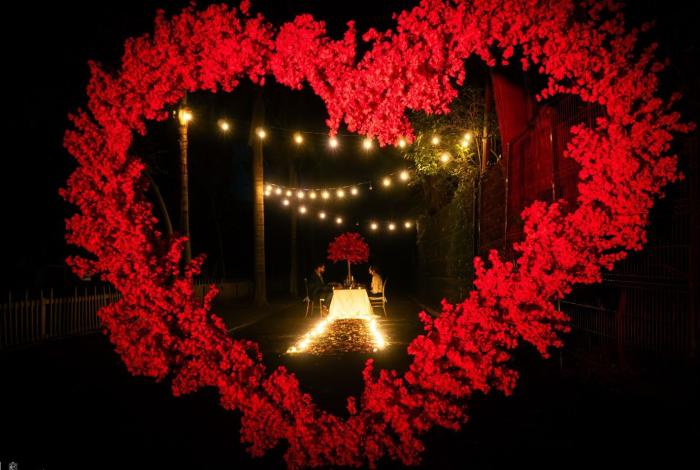 Entre naturaleza y romance, el Zoológico de Morelia te invita a una cena inolvidable