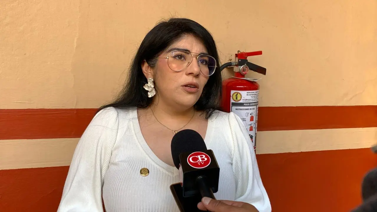 Erradicar violencia a madres jefa de familia debe ser prioridad, asegura Vanhe Caratachea