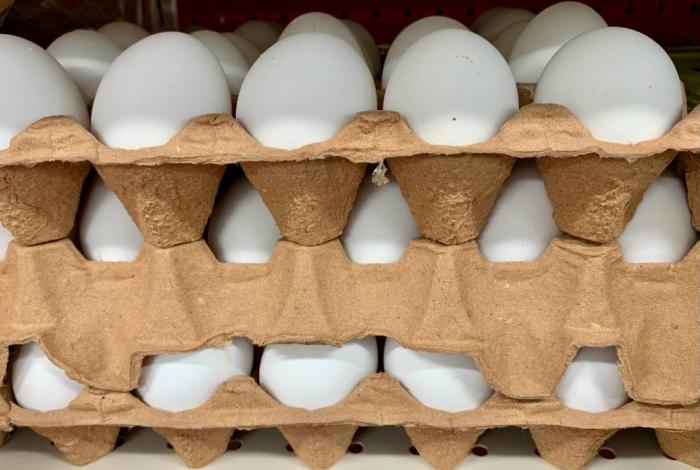 Especulación, supuesto desabasto de gas LP ni huevo: Sedeco