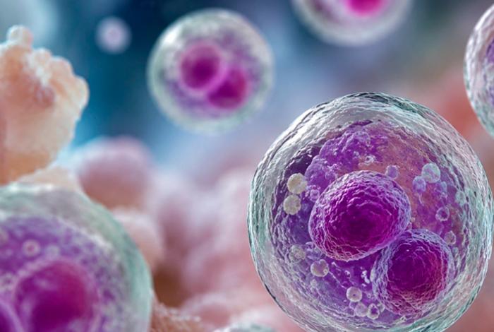 Estados Unidos confirma más de 4,100 casos por el brote de ciclosporiasis
