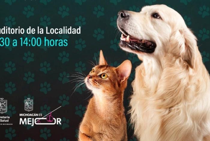 ¡Esterilización gratuita en agosto! SSM lleva jornadas a siete municipios