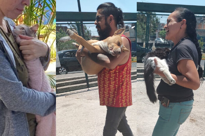 Esterilizarán gratis perros y gatos en Morelia durante dos días; así puedes hacer tu cita