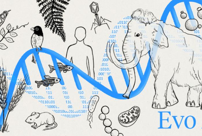 Evo 2, un nuevo modelo de IA para modelar y diseñar el código genético de la vida