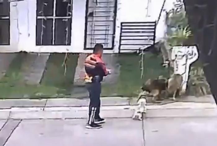 Exhiben en redes sociales a pareja que azuza a su perro para atacar a canes callejeros en Uruapan