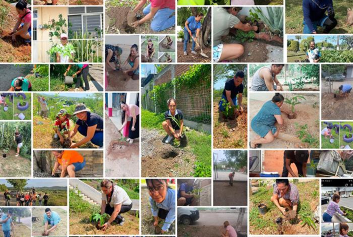 Exitosa participación de Lázaro Cárdenas en Jornada Nacional de Reforestación “¡Todo México a reforestar!”