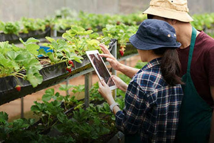 Expertos proponen educación agrícola innovadora para la seguridad alimentaria