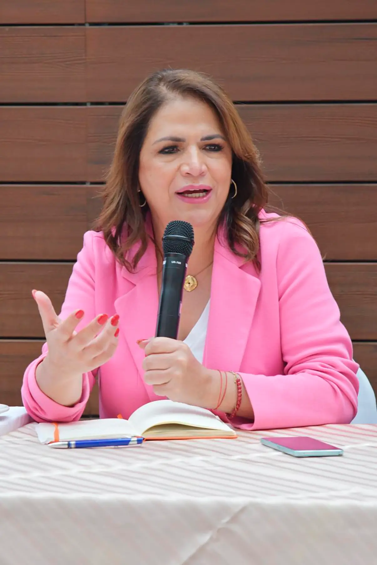 Fabiola Alanís: Caen remesas por redadas contra migrantes, pero crece solidaridad; llama a proteger la economía de los hogares migrantes