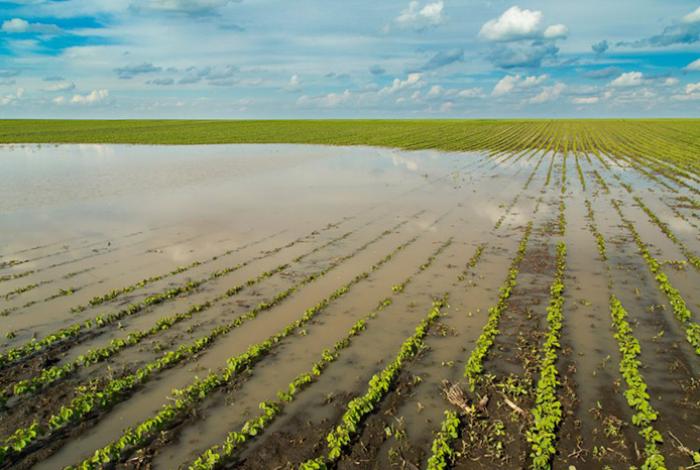 Fenómeno de El Niño se intensificará hasta ser muy fuerte, alerta la OMM y pide medidas preventivas