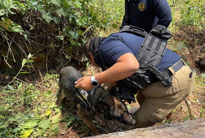 FGE realiza búsquedas forenses en una huerta de Ziracuaretiro y encuentran restos óseos humanos