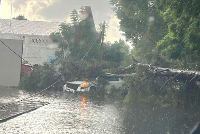 Fuerte tromba derriba árboles y causa afectaciones en distintos puntos de Uruapan