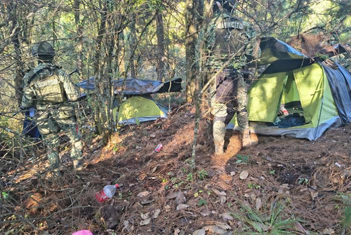 Fuerzas federales detienen a 9 personas y desmantelan 3 campamentos clandestinos en Michoacán