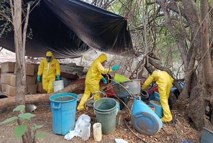 Fuerzas militares y federales destruyen narcolaboratorio en Aquila