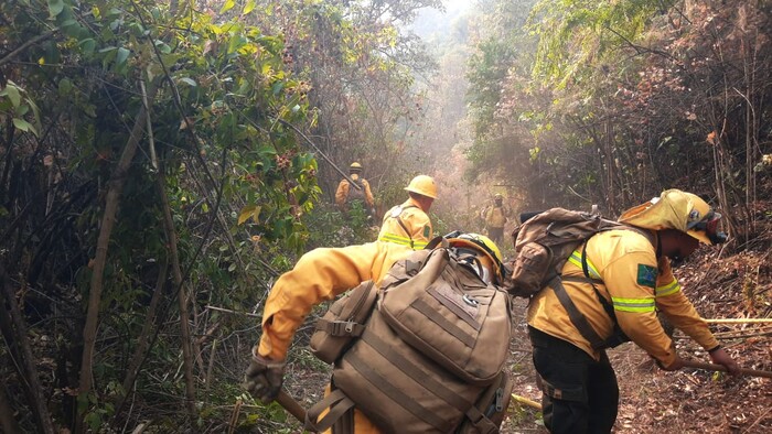 #Galería | Controlado el 80% del incendio forestal de Uruapan