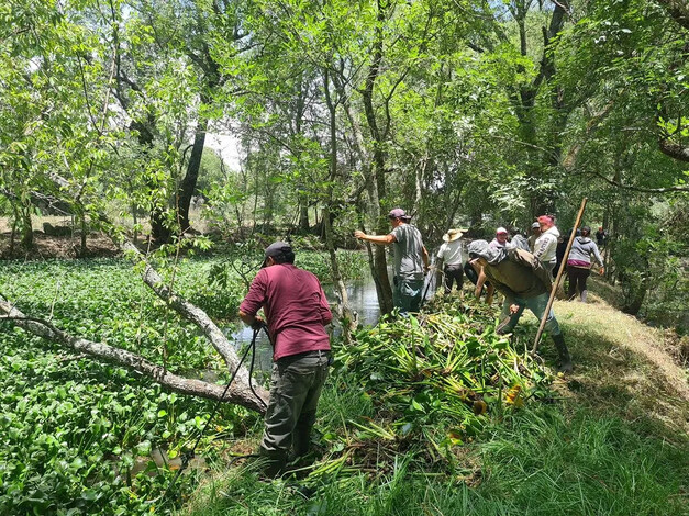 Garantizado en 2025 empleo temporal para rescate del lago de Pátzcuaro: Secma