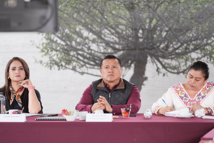 Gladyz Butanda y Torres Piña refuerzan ruta de organización territorial de Morena