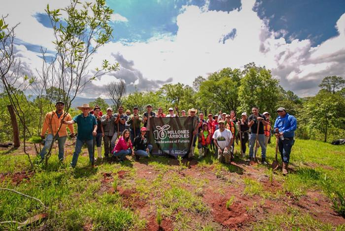 Gobierno de Ario que preside Yohana Mendoza realiza con éxito campaña “Reforestación Ario”