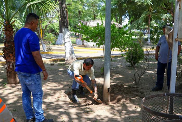 Gobierno de Lázaro Cárdenas anuncia nuevo alumbrado para el Parque Uruapan