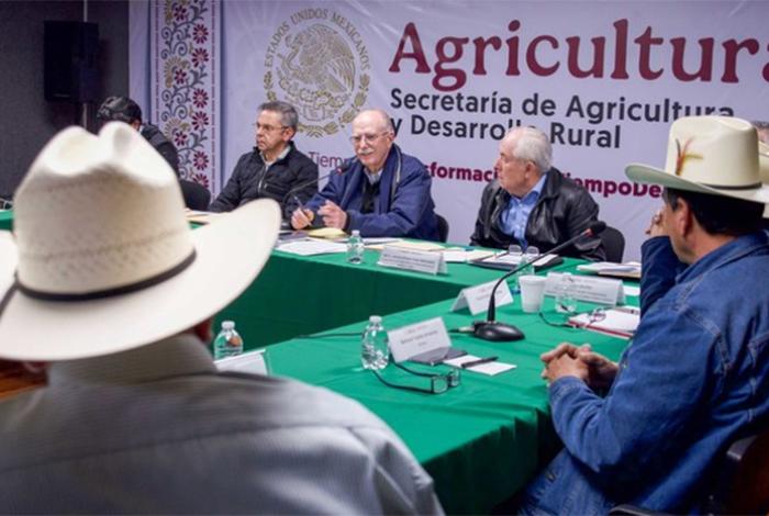 Gobierno de México afirma que alcanzó acuerdos importantes con productores agrícolas y transportistas