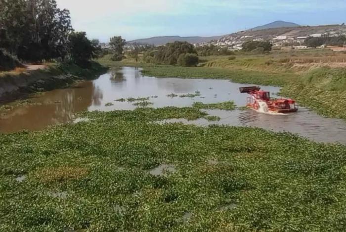 Gobierno de Michoacán rehabilita el Río Lerma en La Piedad