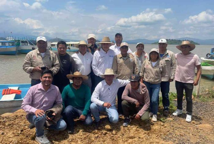  Gobierno de Michoacán siembra 15 mil crías de pescado blanco en el lago de Pátzcuaro