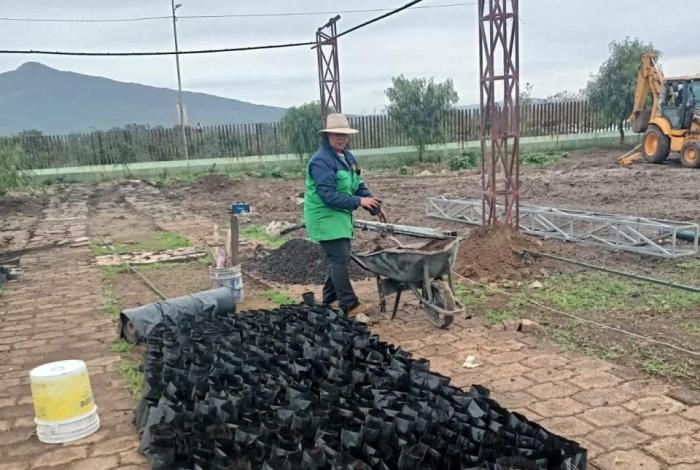 Gobierno de Morelia apuesta por el fortalecimiento ambiental, con nuevo vivero municipal