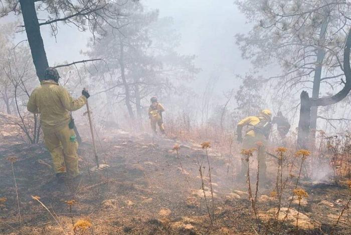 Gobierno de Morelia convoca a donar víveres para brigadistas forestales