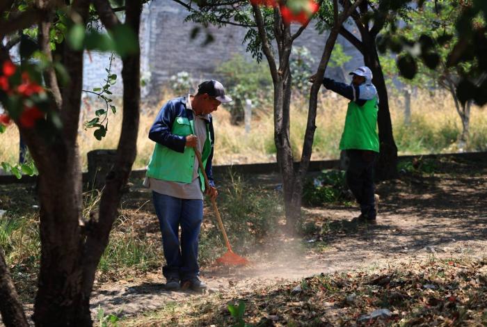Gobierno de Morelia encabeza poda y mantenimiento de espacios para la ciudadanía