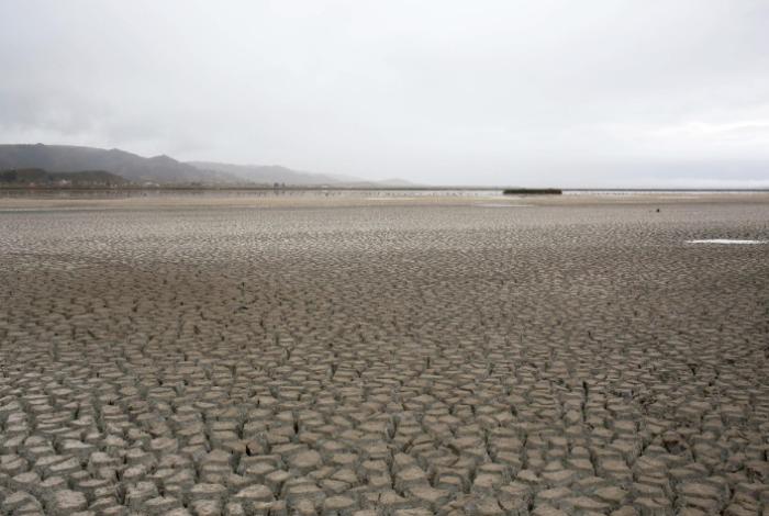 Greenpeace pide a México pasar a la acción en materia climática pero valora su liderazgo