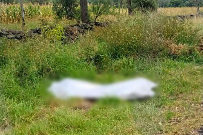 Hallan a hombre ejecutado a la orilla de la carretera Morelia-Chiquimitío