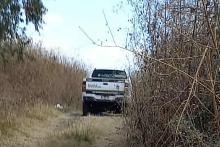 Hallan a hombre muerto y colgado de un árbol, entre los fraccionamientosVillas del Pedregal y La Hacienda