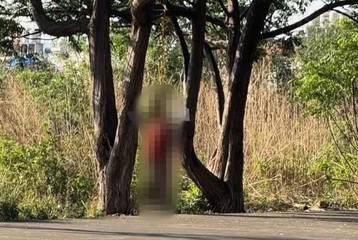 Hallan a hombre muerto y suspendido de un árbol en La Hacienda, Morelia
