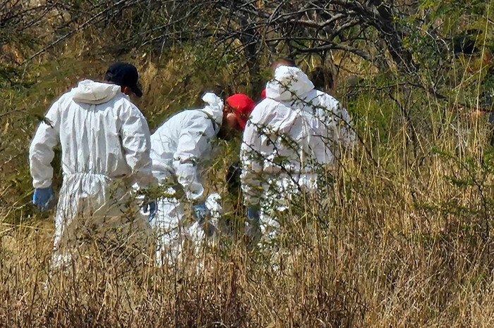 Hallan cabeza humana en Singuio, Álvaro Obregón