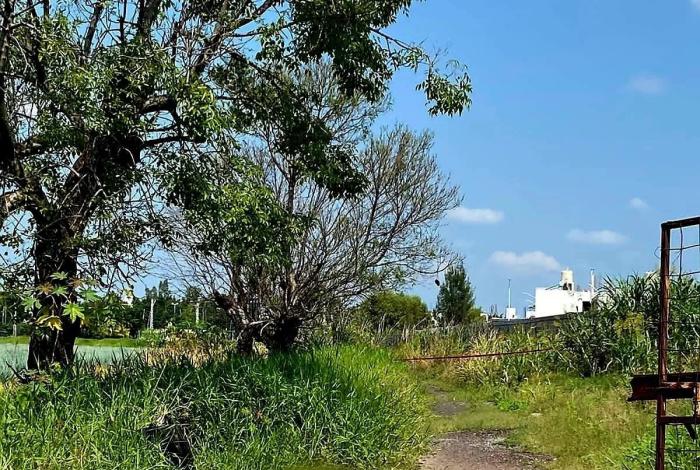 Hallan cadáver con huellas de violencia en predio de un fraccionamiento en Zamora