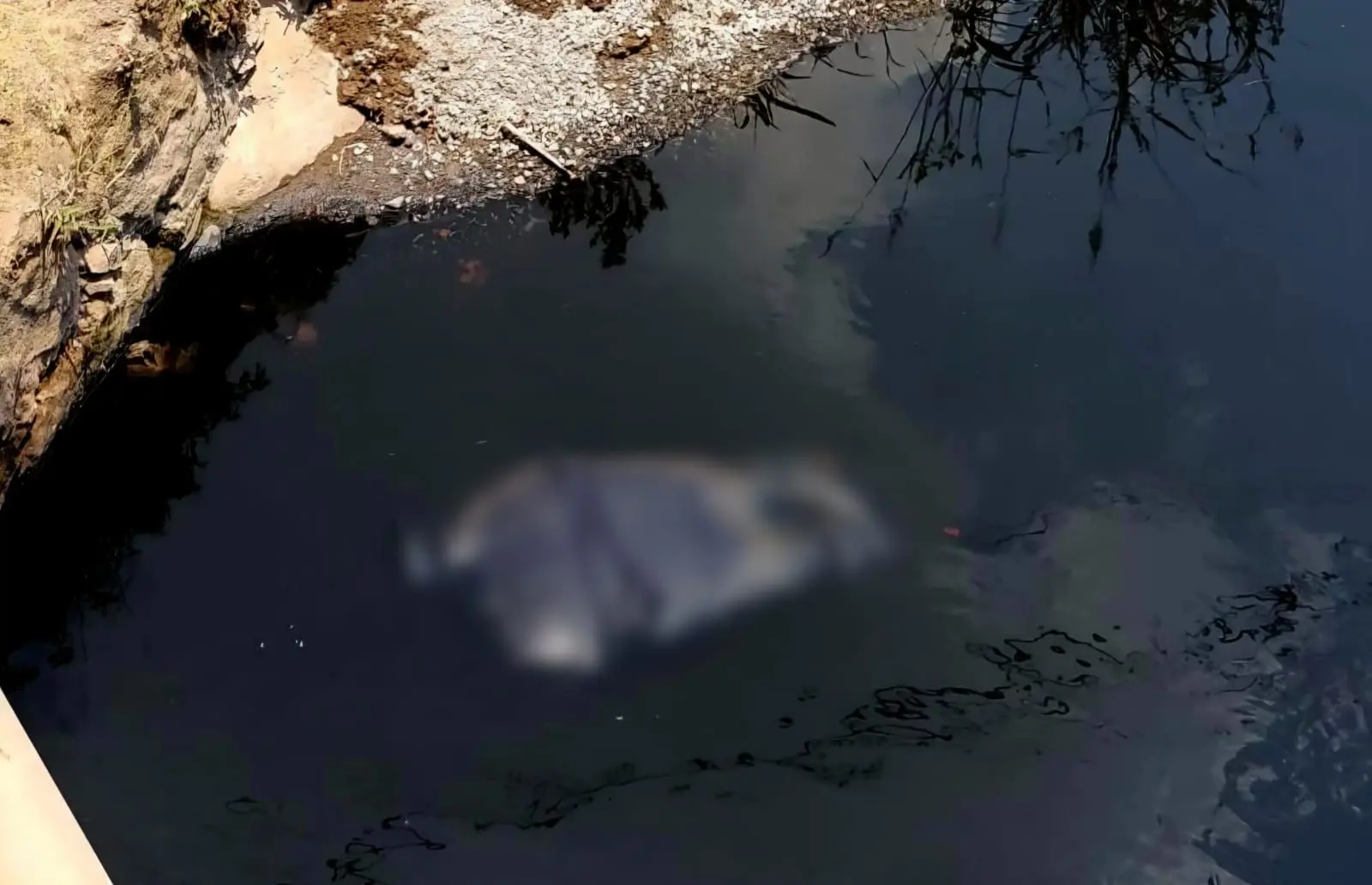 Hallan cadáver en canal de aguas negras en Uruétaro, Tarímbaro