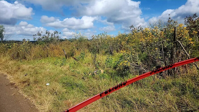 Hallan dos hombres ejecutados al lado de la carretera en Tangamandapio