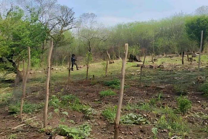 Hallan el cuerpo de un hombre baleado en Carácuaro; un menor que lo acompañaba está desaparecido