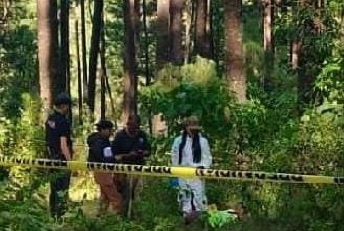 Hallan muerto a adulto mayor en zona boscosa del municipio de Hidalgo